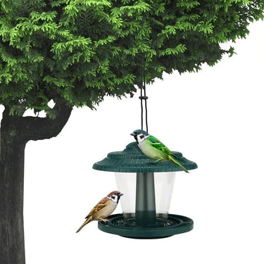 Mangeoire pour oiseaux extérieur